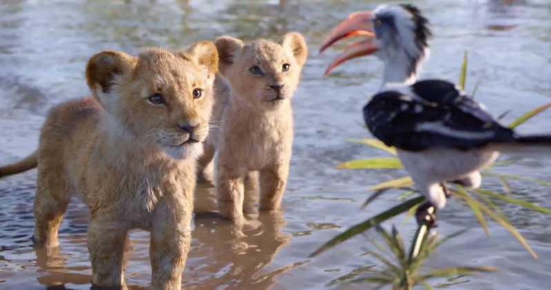 The Lion King 2019 First Reactions
