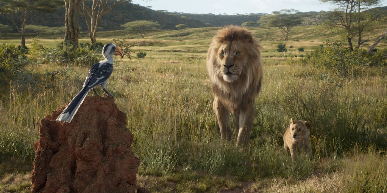 the lion king 2019 is a stunning if hollow remake of the 1994 original despite breathtaking tec