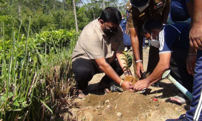 නිදහස වෙනුවෙන් පැළයක් සිටවමු