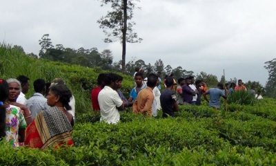 අට මසකට පෙර අතුරුදහන් තිදරු පියෙකුගේ අස්ථි කොටස් පරික්ෂකට (ඡායාරූප)