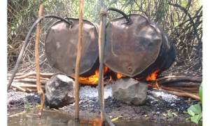 කසිප්පු පෙරූ 15ක් අත්අඩංගුවට