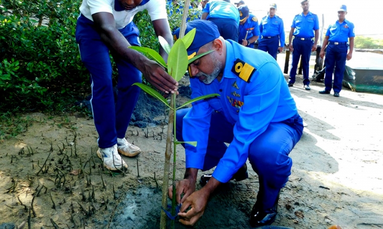 තෙත්බිම් රකින්න නාවික හමුදා දායකත්වය