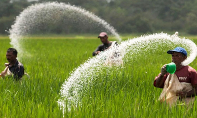 මහ කන්නයට පොහොර සහනානාධාර ලබා දීමේ කටයුතු ඇරඹෙයි