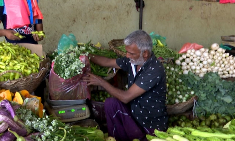 ඉදිරි දෙසතිය තුළ එළවළු මිලෙහි අඩුවීමක්