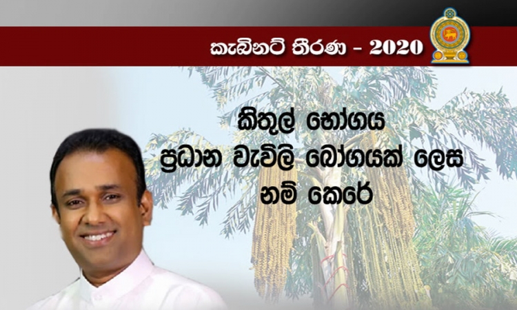 කිතුල් බෝගය ප්‍රධාන වැවිලි බෝගයක් ලෙස (වීඩියෝ)