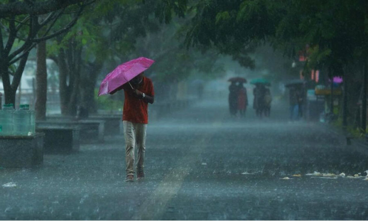 අද පාරට එන අය මේ ගැනත් දැනගෙන එන්න