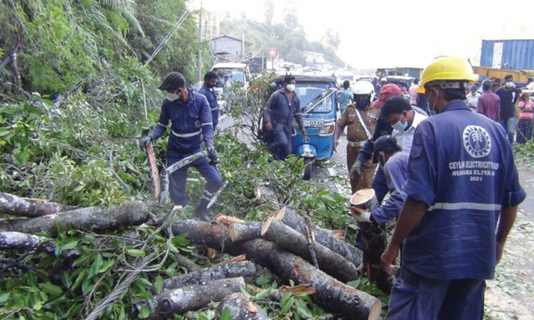 ගසක අත්තක් කඩා වැටීමෙන් යතුරුපැදිකරුවෙකු මරුට...