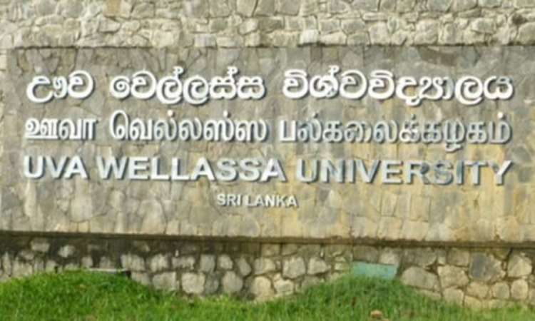 ඌව වෙල්ලස්සට ව්‍යාපාර පරිපාලනය පිළිබඳ පශ්චාත් උපාධි ඒකකයක්