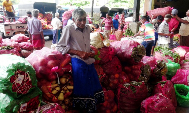 දඹුල්ල ආර්ථිකයේ එළුවලු මිල පහළට: ගොවියන් කඳුලට