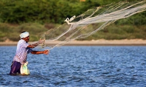 මිරිදිය මත්ස්‍ය කර්මාන්තය නැංවීමට කැනේඩියානු රජයේ සහය