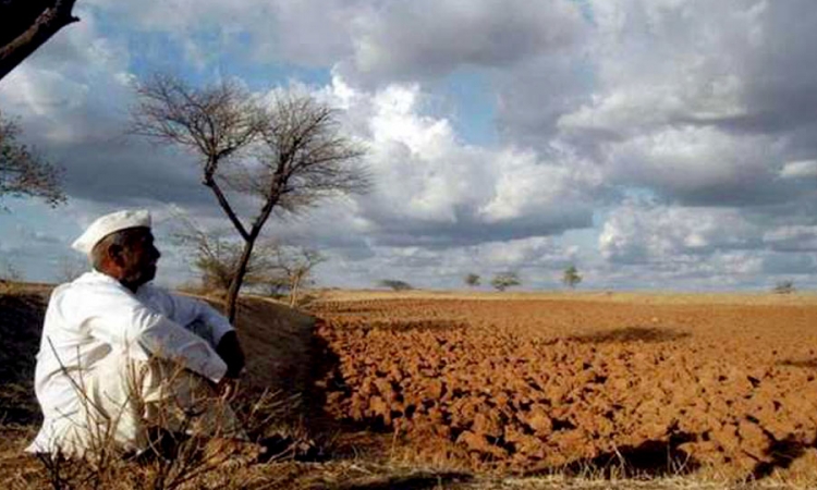 ගංවතුර-නියඟයෙන් හානිවූ ගොවිබිම් සඳහා වන්දි