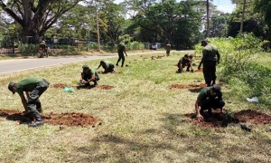 යුධ හමුදාව බුත්තල ප්‍රදේශයේ පැළ 900 ක් සිටුවයි