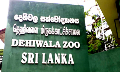 සත්වෝද්‍යානවලට නොමිලේ ඇතුළු වීමට අද අවසර