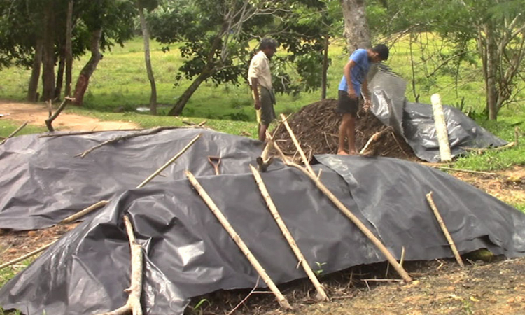 ජනතාව කාබනික පොහොර නිෂ්පාදන ක්‍රියාවලියට යොමු වෙයි