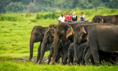 අලි-ඇතුන් නරඹන්න කවුඩුල්ලට යන්න