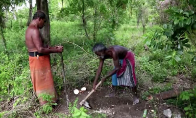 තින්නොරු පතල් කැණීම් ආරම්භ කෙරේ