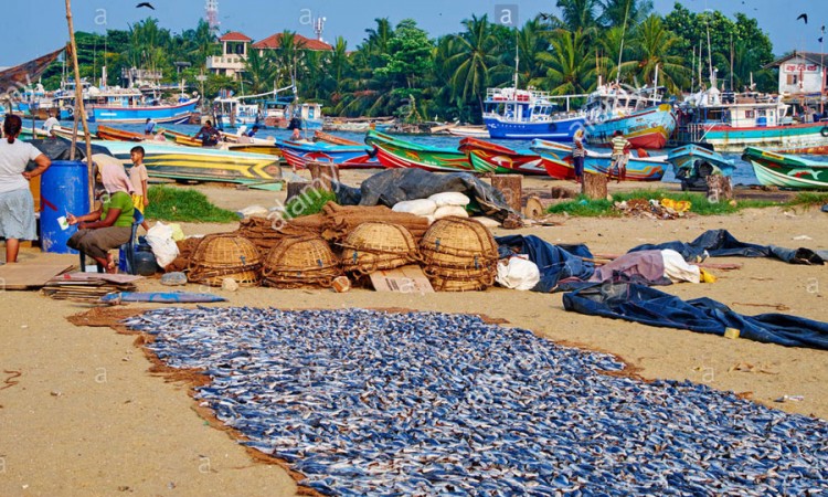 ධීවර ගම්මානවල වෙසෙන ජනතාවට සහන සලසන්න අගමැතිතුමාගෙන් උපදෙස්