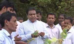 ප්‍රධාන ධාන්‍ය වර්ග ආනයනය නැවැත්විය යුතුයි - ඇමති හැරිසන්