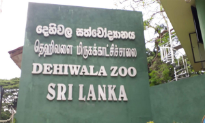 දෙහිවල සත්වෝද්‍යානය අද සිට විවෘතයි