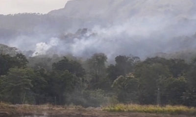 අයිස්පීල්ල කදු රක්ෂිතයේ ගින්නකින් අක්කර විස්සක් විනාසයි