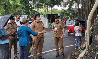 කොළඹ නගරයේ ගස් කඩා වැටීමට හේතු හා පිළියම් සොයයි