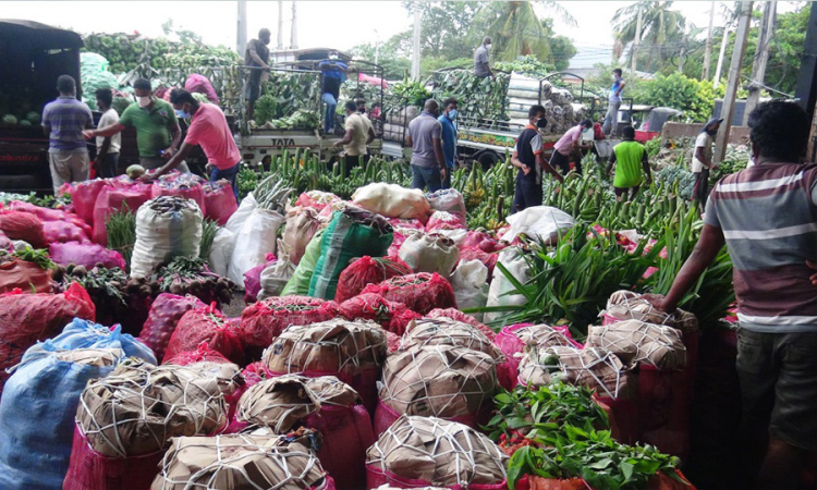 යාපනේ මිදීවලට දඹුල්ලේ ඉල්ලුමක්; එළවළු මිලත් පහලට