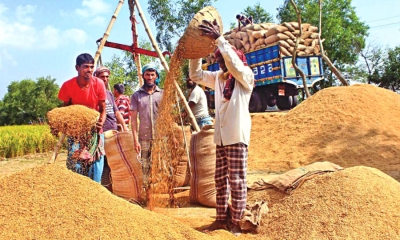 ගොවියාගේ නිෂ්පාදන වියදම වෙනුවෙන් වී මිලේ වෙනසක්