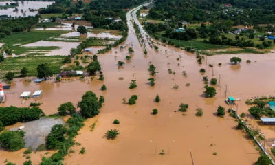 ජීවිත අහිමි කරන දිය රකුසා